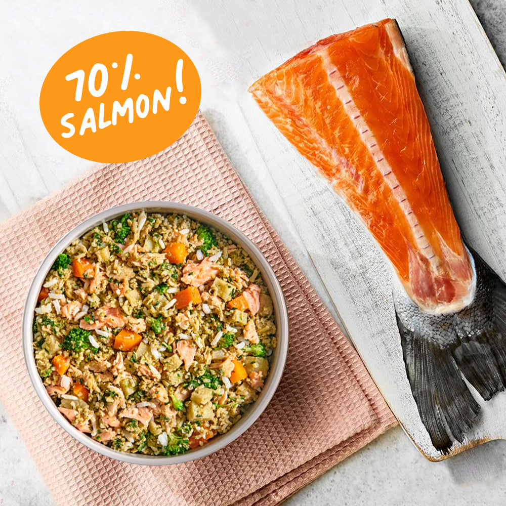 Sassy Salmon Feast (New!)